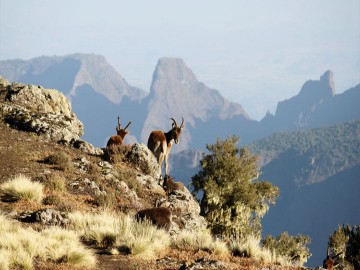 Historic Route and Omo Valley